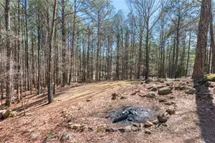 10 Clydesdale Trail, White, GA 30184 - Photo 65