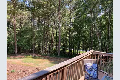 10 Clydesdale Trail, White, GA 30184 - Photo 59