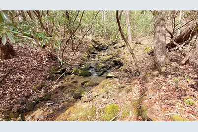 8072 Doublehead Gap Road, Blue Ridge, GA 30513 - Photo 7