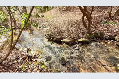 8072 Doublehead Gap Road, Blue Ridge, GA 30513 - Photo 5