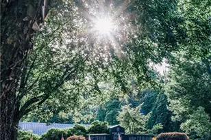 4179 Millstone Pk Ln, Gainesville, GA 30504 - Photo 75