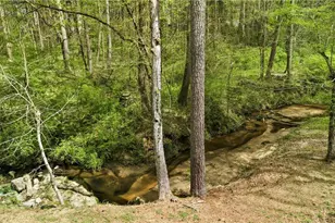 145 Shadybrook Ln SW, Atlanta, GA 30331 - Photo 11