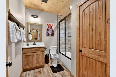 313 Muffle Court, Ellijay, GA 30540 - Photo 49