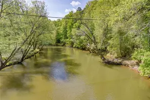 313 Muffle Ct, Ellijay, GA 30540 - Photo 77