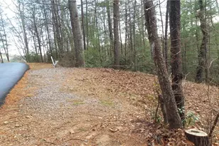 0 Bahn Innsbruck, Helen, GA 30545 - Photo 1