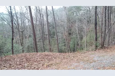 0 Bahn Innsbruck, Helen, GA 30545 - Photo 5