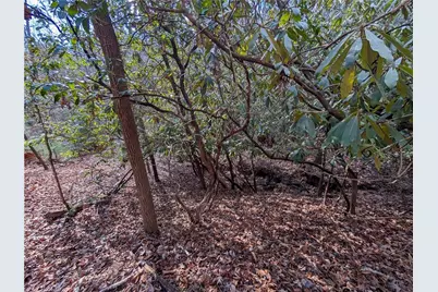 0 Bahn Innsbruck, Helen, GA 30545 - Photo 11