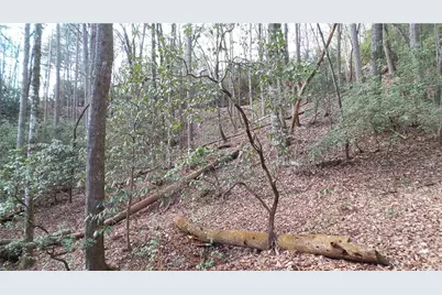 0 Bahn Innsbruck, Helen, GA 30545 - Photo 29