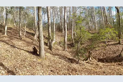 0 Bahn Innsbruck, Helen, GA 30545 - Photo 31