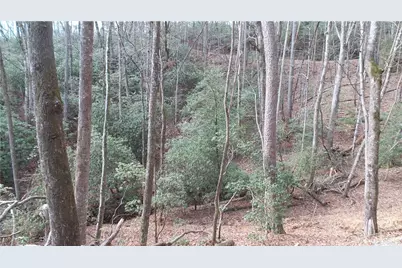 0 Bahn Innsbruck, Helen, GA 30545 - Photo 25