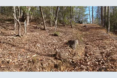 0 Bahn Innsbruck, Helen, GA 30545 - Photo 37