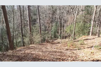 0 Bahn Innsbruck, Helen, GA 30545 - Photo 21