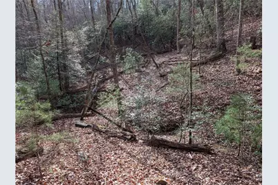 0 Bahn Innsbruck, Helen, GA 30545 - Photo 13