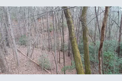 0 Bahn Innsbruck, Helen, GA 30545 - Photo 41