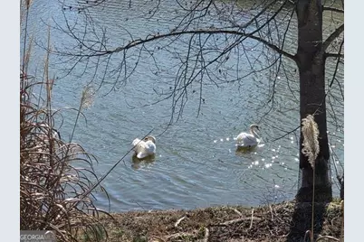 567 Lillian Way, Jefferson, GA 30549 - Photo 61