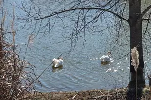 567 Lillian Way, Jefferson, GA 30549 - Photo 61