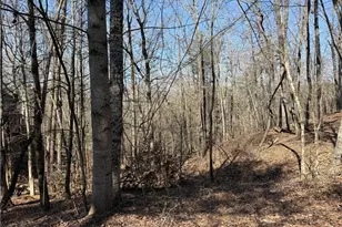 62 Miners Pl, Dahlonega, GA 30533 - Photo 1