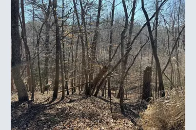 62 Miners Place, Dahlonega, GA 30533 - Photo 5