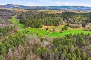 229 Seth Hyatt Rd, Ellijay, GA 30540 - Photo 3