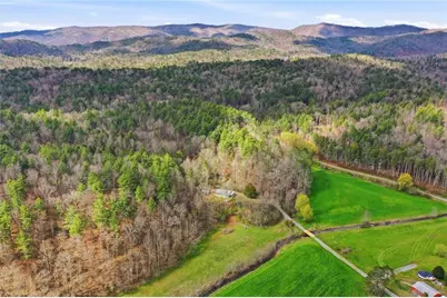 229 Seth Hyatt Road, Ellijay, GA 30540 - Photo 7