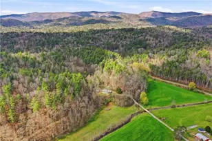 229 Seth Hyatt Rd, Ellijay, GA 30540 - Photo 7