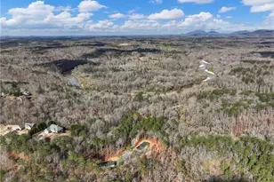 7676 Pea Ridge Rd, Lula, GA 30554 - Photo 43