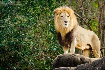 1205 Skylar Lane SE, Atlanta, GA 30315 - Photo 29