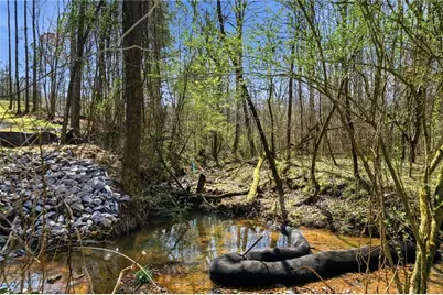 250 Sardis Circle, Canton, GA 30114 - Photo 19