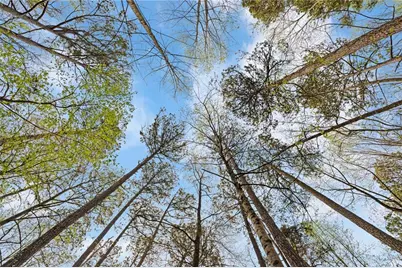 118 Little Ridge Road, Berkeley Lake, GA 30096 - Photo 39