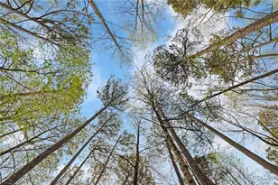 118 Little Ridge Rd, Berkeley Lake, GA 30096 - Photo 39