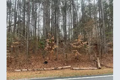 0 Cascade Palmetto Highway #76, Fairburn, GA 30213 - Photo 3