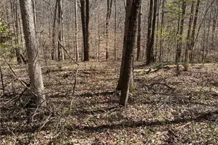 861 Boss Hardy Rd, Winder, GA 30680 - Photo 7