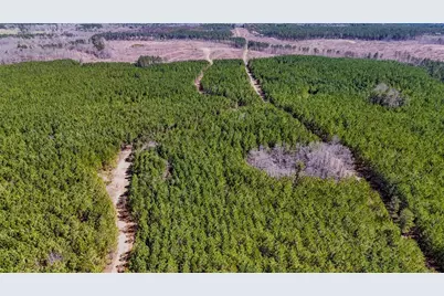Lot 3 John Kay Road, Taylorsville, GA 30178 - Photo 3
