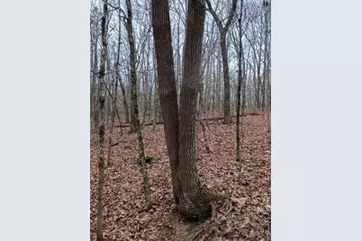 0 Cleveland Highway, Cohutta, GA 30710 - Photo 7