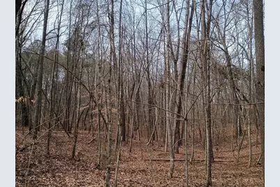 0 Cleveland Highway, Cohutta, GA 30710 - Photo 9