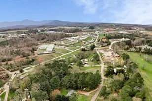 217 Robin Rd Rd, Jasper, GA 30143 - Photo 55