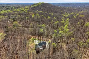 3664 McEver Lake Rd, Pendergrass, GA 30567 - Photo 39