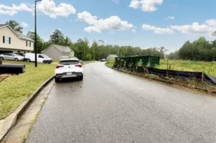 238 Brookwood Crossing, Douglasville, GA 30134 - Photo 27