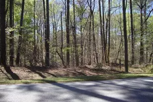 2515 Slater Mill Rd, Douglasville, GA 30135 - Photo 1