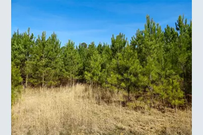 0 Highway 100, Summerville, GA 30747 - Photo 15