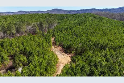 0 Highway 100, Summerville, GA 30747 - Photo 11