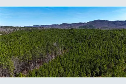 0 Highway 100, Summerville, GA 30747 - Photo 9