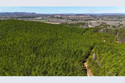 0 Highway 100, Summerville, GA 30747 - Photo 7