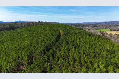 0 Highway 100, Summerville, GA 30747 - Photo 13