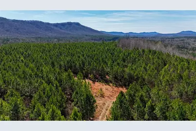 0 Highway 100, Summerville, GA 30747 - Photo 3