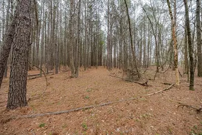 13585 Arnold Mill Road, Milton, GA 30075 - Photo 5