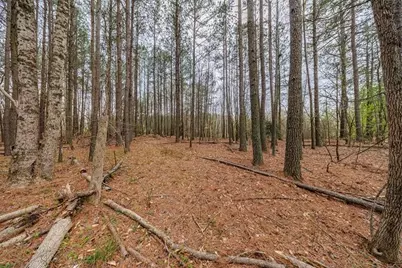 13585 Arnold Mill Road, Milton, GA 30075 - Photo 5
