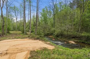 1100 Soap Creek Rd, Ball Ground, GA 30107 - Photo 5