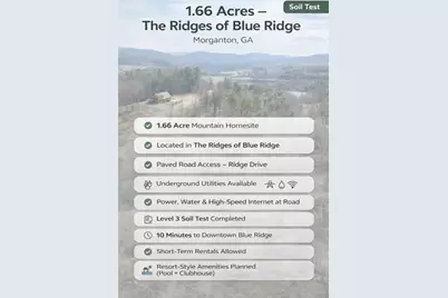 0 Ridge Drive, Morganton, GA 30560 - Photo 3