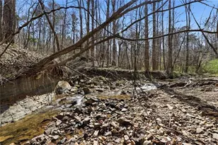 118 Jordan Ln, Talking Rock, GA 30175 - Photo 33